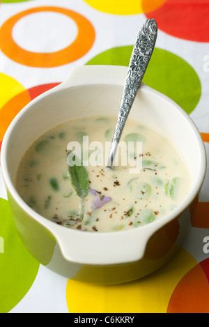 Dicke Bohnen mit Milch und Salbei Stockfoto