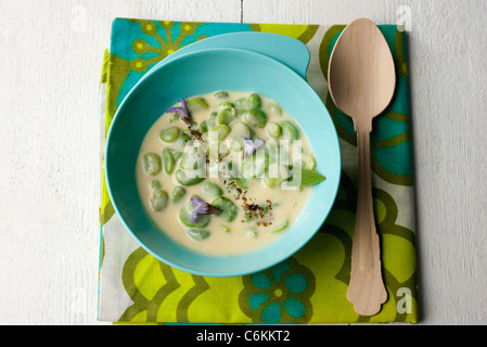 Dicke Bohnen mit Milch und Salbei Stockfoto