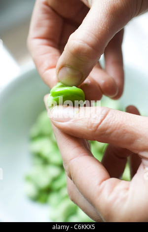 Dicke Bohnen mit Milch und Salbei Stockfoto