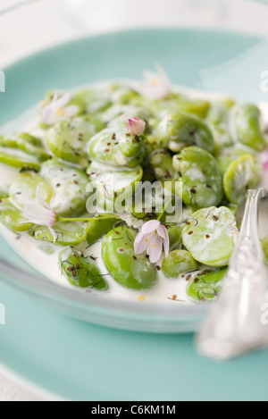 Dicke Bohnen mit Mohn Stockfoto