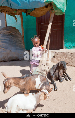 Ein kleines Mädchen spielen auf die bunten Straßen von Harar in Ost-Äthiopien, Afrika. Stockfoto