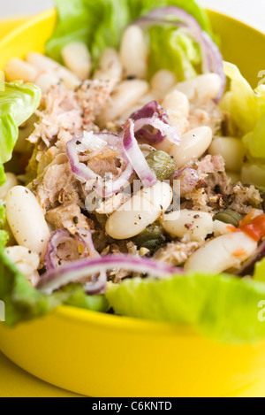 Salat mit weißen Bohnen und Thunfisch Stockfoto