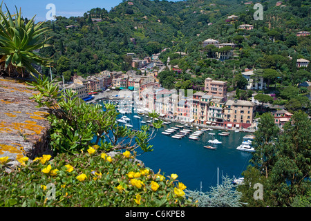 Portofino, malerischen Fischerdorf, Holiday Resort di Levante, Ligurien, Italienische Riviera, Italien, Mittelmeer, Europa Stockfoto