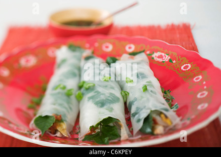 Frühlingsrollen mit Kräutern Stockfoto