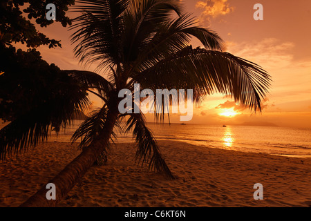 Coral Beach Sunset, Beau Vallon Bay, Insel Mahe, Seychellen, Indischer Ozean, Afrika Stockfoto