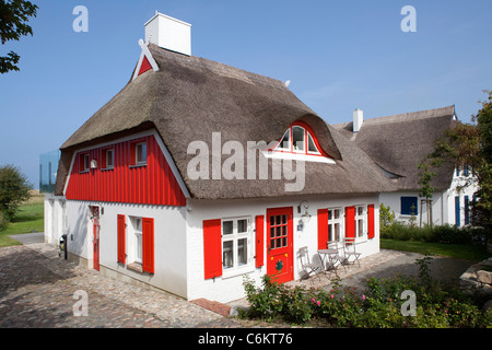 Reetgedeckte Häuser, Ostsee Stadt Ahrenshoop, Mecklenburg-West Pomerania, Deutschland Stockfoto