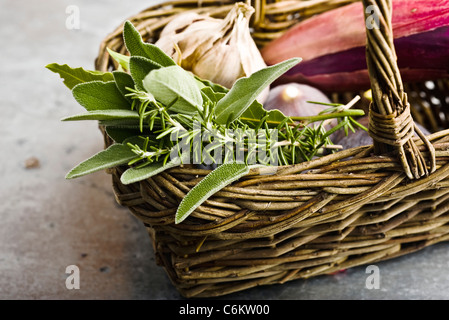 Frischer Rosmarin, Salbei und anderen Zutaten in Korb Stockfoto