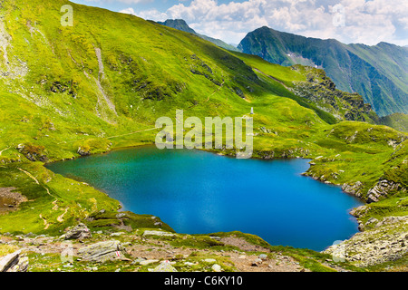 Landschaft vom Capra-See in Rumänien und Fogarascher Berge im Sommer Stockfoto