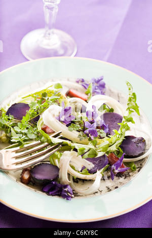 Löwenzahn und violetten Salat Stockfoto