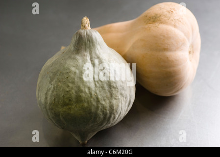 Hubbard Kürbis und Kürbis Stockfoto