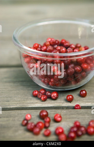 Preiselbeeren Stockfoto