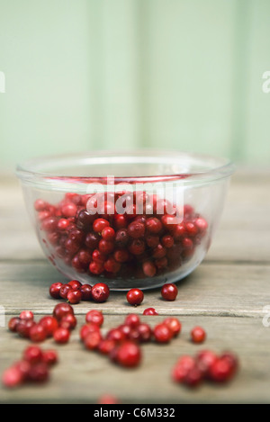 Frische Preiselbeeren Stockfoto