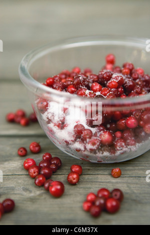 Preiselbeeren mit Zucker Stockfoto