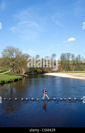 Ein Wanderer durchquert der Fluss Wharfe unter Verwendung des Sprungbretts auf dem Gelände des Bolton Abbey in North Yorkshire, England Stockfoto