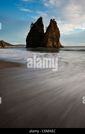 Meer-Stack und Flut, Rialto Strand, Olympic Nationalpark, Washington, USA Stockfoto