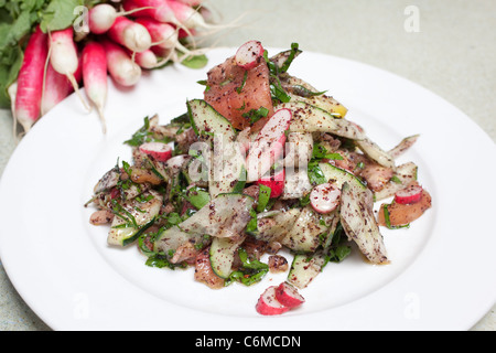 Fattoush libanesischer Salat. Foto: Jeff Gilbert Stockfoto