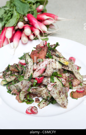 Fattoush libanesischer Salat. Foto: Jeff Gilbert Stockfoto