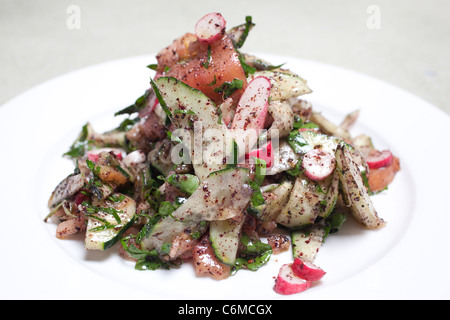 Fattoush libanesischer Salat. Foto: Jeff Gilbert Stockfoto