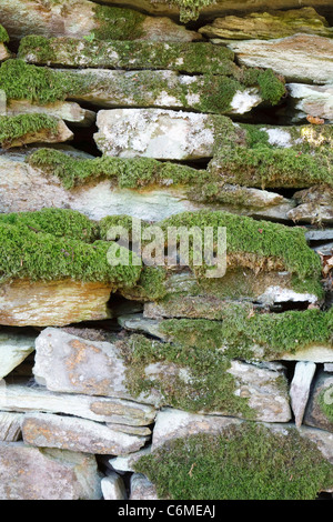 Nahaufnahme von einem traditionellen Trockenmauer in Moos und Flechten bedeckt Stockfoto