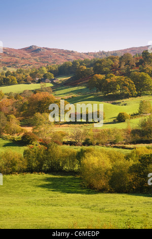 Landschaft in am Nachmittag Sonnenlicht getaucht. Langdale, Lake District, Cumbria, UK Stockfoto