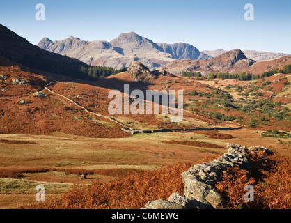 Blick auf die Langdale Pikes von Langdale in Lake District, Cumbria, England Stockfoto