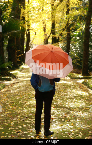 Frau mit Regenschirm im Fußweg umgeben von Ginkgo Biloba Bäume allein zu Fuß. Parque Terra Nostra, Azoren, Portugal Stockfoto