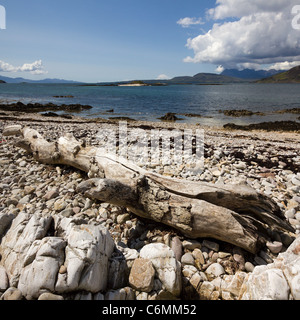 Alten Treibholz Baumstamm auf felsigen Strand mit Loch Eishort und Black Cuillin Berge im Hintergrund, Ord, Isle Of Skye, Schottland Stockfoto