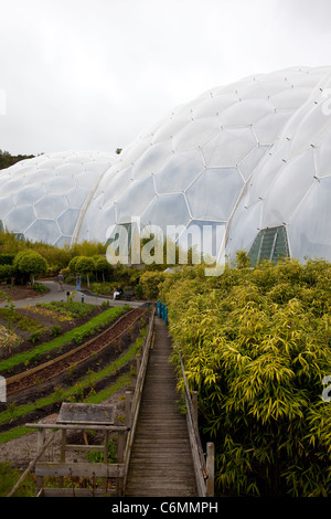 Tim Smit KBE, Holland geborene britische Geschäftsmann, berühmt für seine Arbeiten über das Eden Project. Foto: Jeff Gilbert Stockfoto