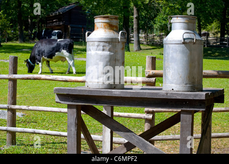 Milch-Dosen auf einer Bank, eine Kuh füttern Rasen im Hintergrund Stockfoto