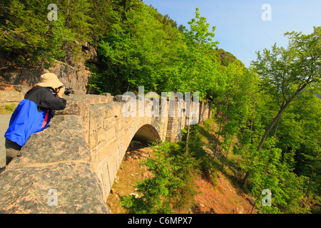 Cliffside Brücke, Jordanien Stream Schleife Karrenweg, Acadia-Nationalpark, Mount Desert Island, Maine, USA Stockfoto