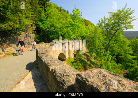 Cliffside Brücke, Jordanien Stream Schleife Karrenweg, Acadia-Nationalpark, Mount Desert Island, Maine, USA Stockfoto