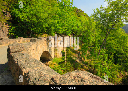 Cliffside Brücke, Jordanien Stream Schleife Karrenweg, Acadia-Nationalpark, Mount Desert Island, Maine, USA Stockfoto