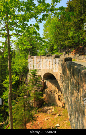 Cliffside Brücke, Jordanien Stream Schleife Karrenweg, Acadia-Nationalpark, Mount Desert Island, Maine, USA Stockfoto