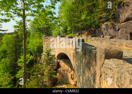 Cliffside Brücke, Jordanien Stream Schleife Karrenweg, Acadia-Nationalpark, Mount Desert Island, Maine, USA Stockfoto