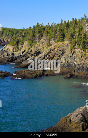 Cutler Küstenpfad, mutige Küste bewahren, Cutler, Maine, USA Stockfoto