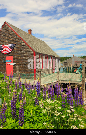 McCurdy Räucherei, Lubec, Maine, USA Stockfoto