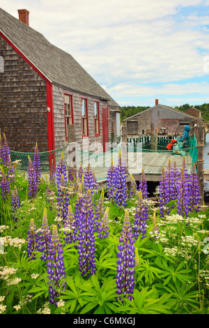 McCurdy Räucherei, Lubec, Maine, USA Stockfoto