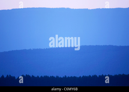 Eine Zusammenfassung des bewaldeten Berghängen in Blautönen Stockfoto