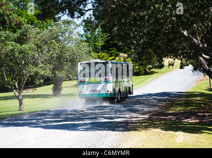 Ein Schulbus in einer ländlichen Gegend von Auckland, Nordinsel, Neuseeland. Stockfoto