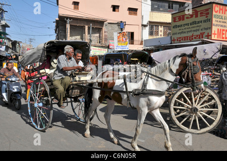 Pferdekutsche Buggy Altmarkt Jodhpur Rajasthan Indien Stockfoto
