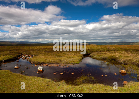 Oberen Teesdale Moor in der Nähe von Langdon Beck in den North Pennines, County Durham im Sommer Stockfoto