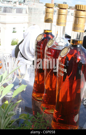 Atmosphäre der Geschichte von Alleinfutter hosted by Bompas und Parr und Courvoisier in Belgravia London, England - 16.07.10: Stockfoto