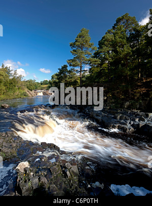 Ein Sommertag Low Force Wasserfall in der Nähe von Middleton-in-Teesdale, County Durham Stockfoto