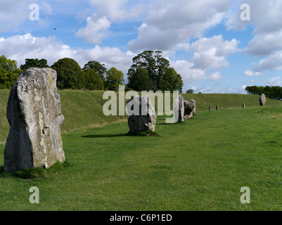 dh Avebury Stone Circle AVEBURY WILTSHIRE Erdarbeiten Graben Henge stehenden Steinen Kreis Stockfoto