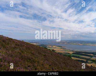 dh FYRISH HILL ROSS CROMARTY Blick auf Cromarty firth und Invergordon scottish Highlands Highland Heather Hills easter Rossshire Stockfoto