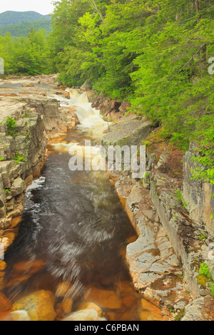 Felsenschlucht, Kancamagus Highway, New Hampshire, USA Stockfoto