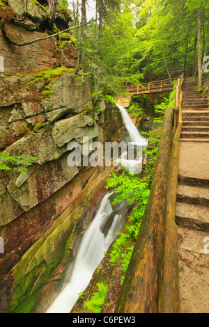 Wanderweg am Sabbaday fällt, Kancamagus Highway, Waterville Valley, White Mountains, Newhampshire, USA Stockfoto