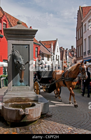 Brügge (Brugge) Pferd Kopf Brunnen für die Bewässerung Pferde ziehen Wagen auf Wijngaardstraat Stockfoto