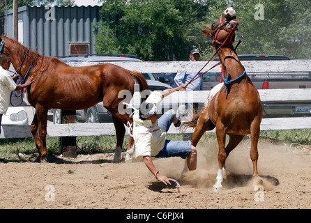 Indische Relais Pferderennen statt während des jährlichen Festivals der Shoshone Bannock statt in Fort Hall in Idaho. Stockfoto