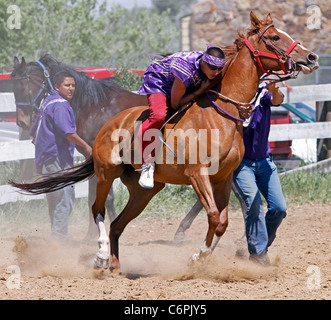 Indische Relais Pferderennen statt während des jährlichen Festivals der Shoshone Bannock statt in Fort Hall in Idaho. Stockfoto
